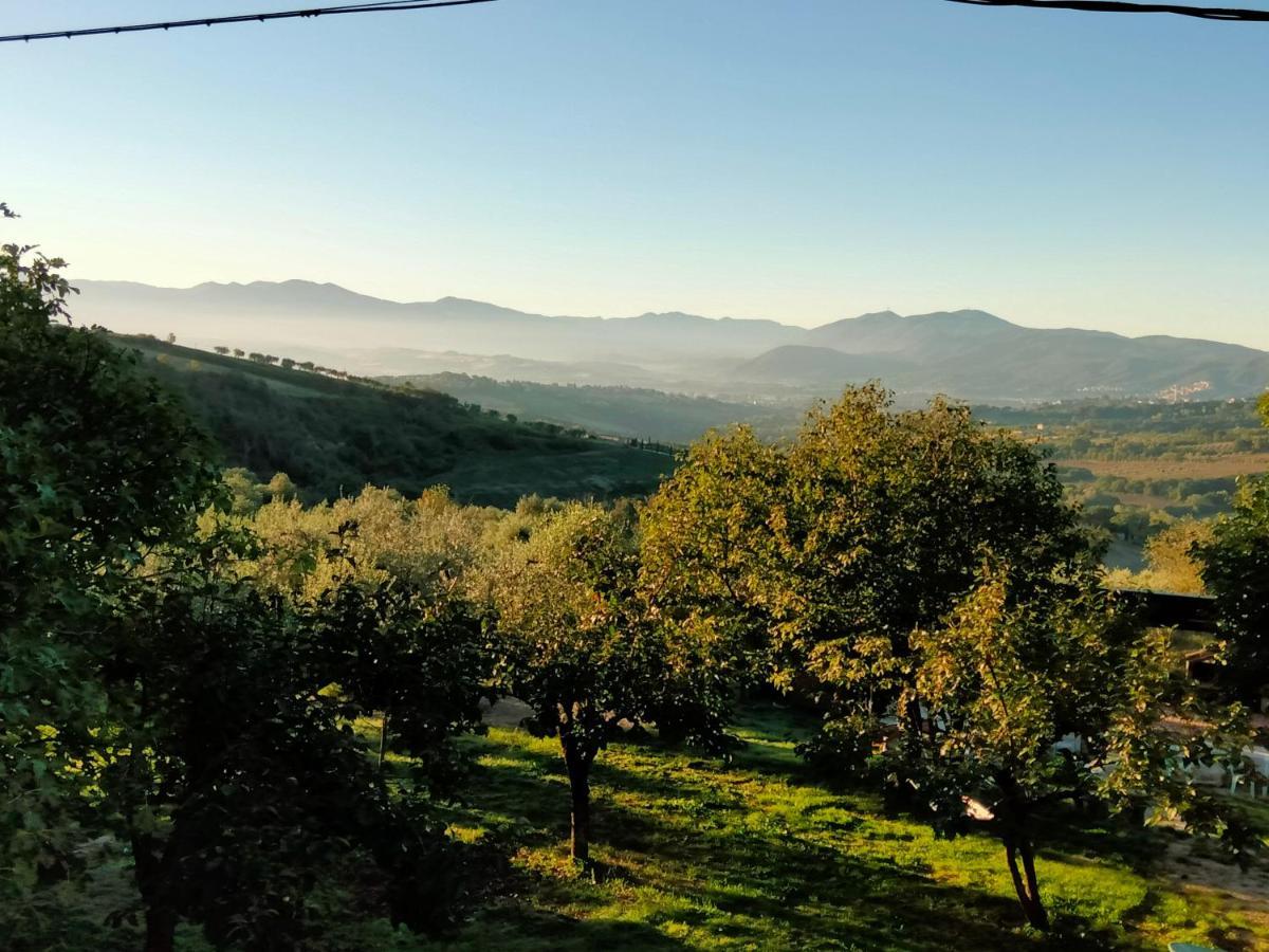 Casale Del Tempo Lento Bed & Breakfast Narni Bagian luar foto