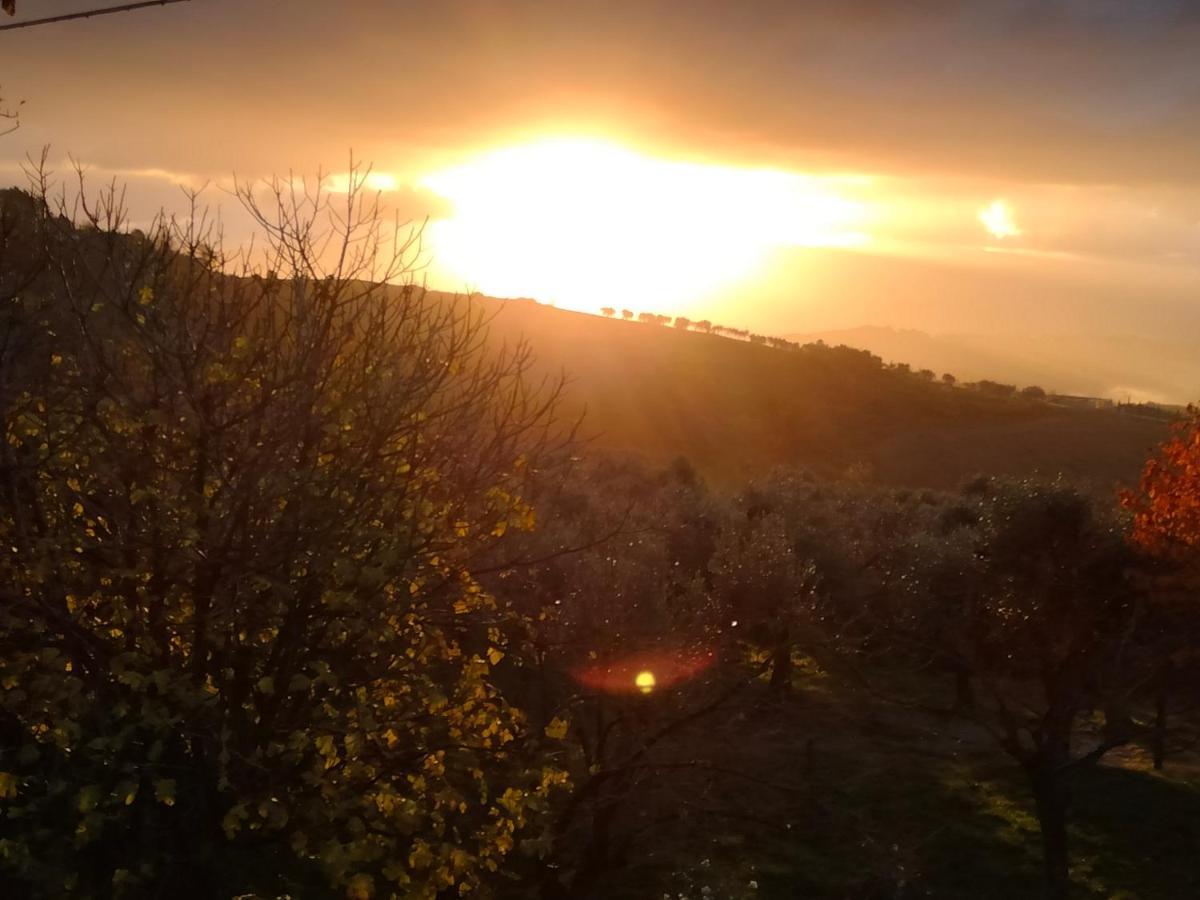 Casale Del Tempo Lento Bed & Breakfast Narni Bagian luar foto